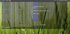 告別乏味12款最佳Linux命令行終端工具