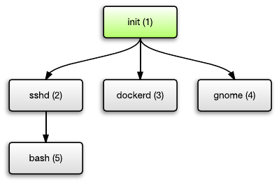 Unix process hierarchy