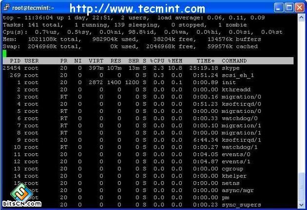 Top Command Example