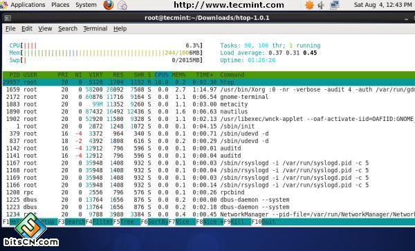 Htop Command Example