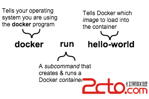 docker run container