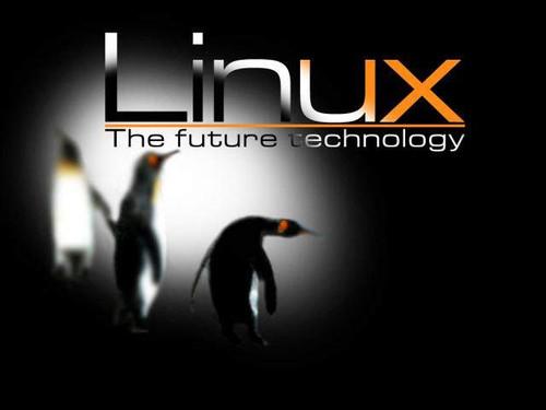 四大妙招讓新手逐漸掌握linux系統維護
