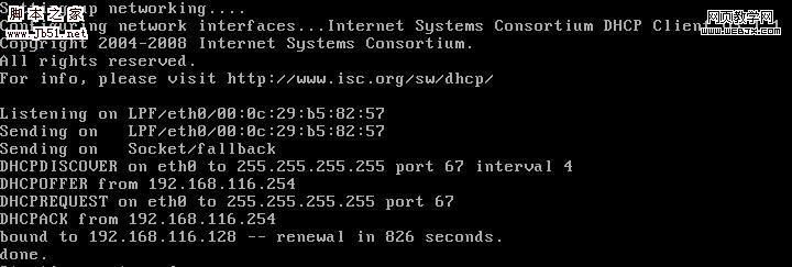 Linux操作系統啟動界面揭秘DHCP協議實現過程