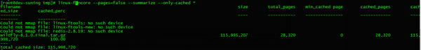 Linux系統如何對內存中的Cache進行分析