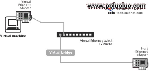VMware中Linux系統網絡配置解析（圖一）