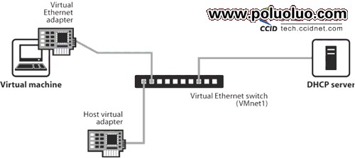 VMware中Linux系統網絡配置解析（圖三）