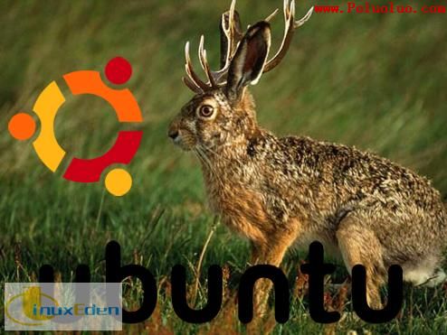 代號調皮的野兔,Ubuntu 9.04 Alpha 1放出