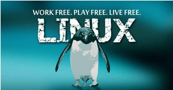 Linux 的實踐主義Linux 的實踐主義