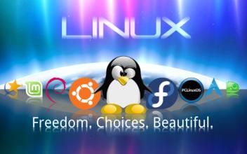 Linux 新手特別喜歡犯的七大錯誤解剖Linux 新手特別喜歡犯的七大錯誤解剖