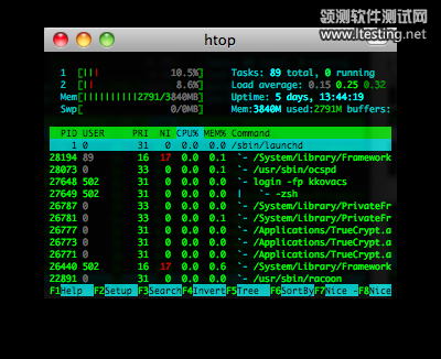 htop screenshot