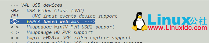 Gentoo Linux下安裝USB攝像頭